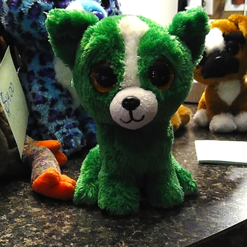 Green beanie boo dog named Dill